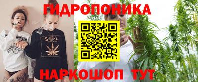индика Конаково