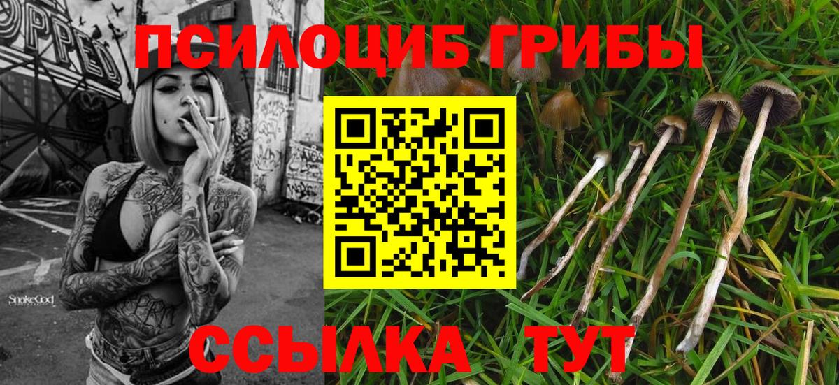 Меф мяу мяу Благовещенск