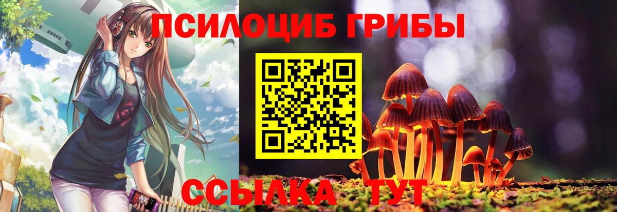 Псилоцибиновые грибы мухоморы Благовещенск